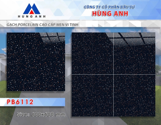 GẠCH PORCLELAIN CAO CẤP MEN VI TINH PB6112