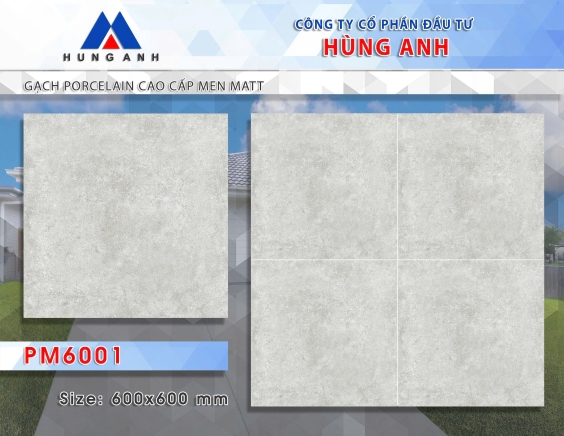 GẠCH PORCLELAIN CAO CẤP MEN MATT PM6001