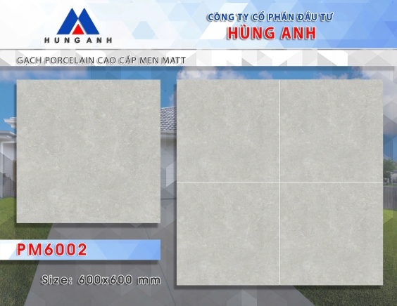 GẠCH PORCLELAIN CAO CẤP MEN MATT PM6002