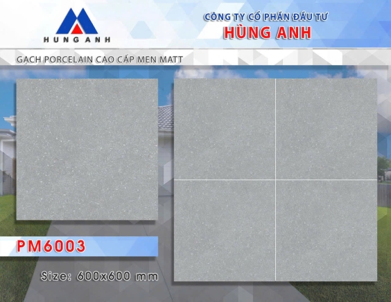 GẠCH PORCLELAIN CAO CẤP MEN MATT PM6003
