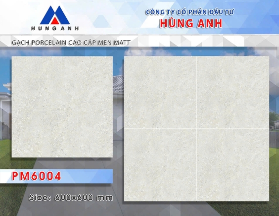 GẠCH PORCLELAIN CAO CẤP MEN MATT PM6004