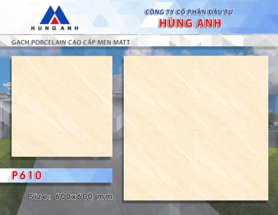 GẠCH PORCLELAIN CAO CẤP MEN MATT P610